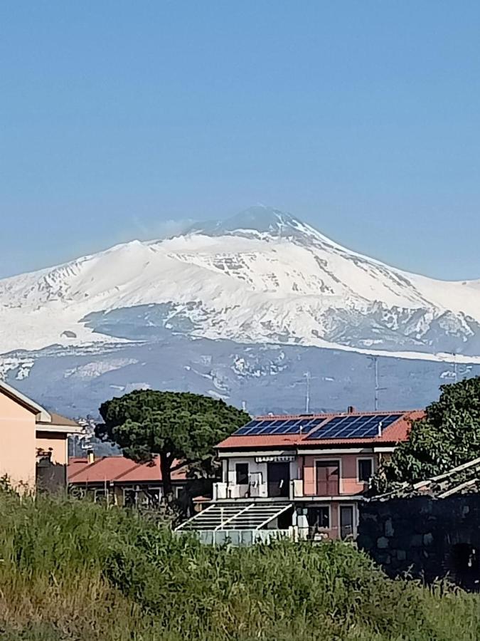 La Quintecita Villa Con Piscina Privata - Vicino Catania E Etna San Giovanni La Punta Ngoại thất bức ảnh